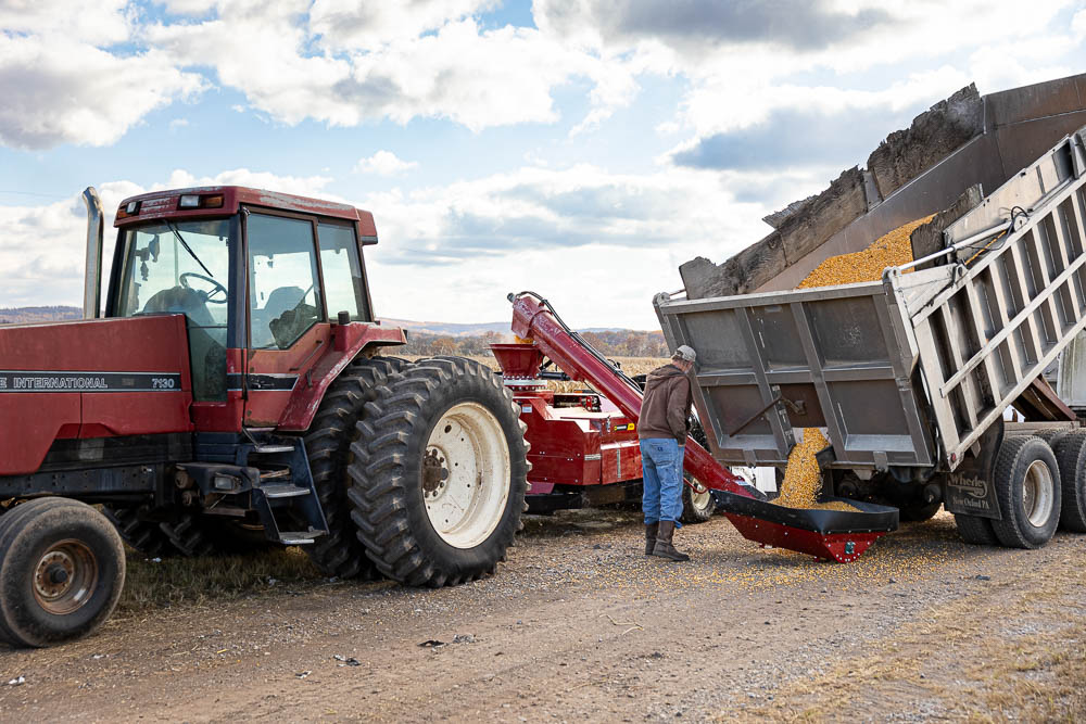 The newly designed auger end fits neatly into tight spaces for less spill and waste. Dump truck releasing corn into the auger end. 