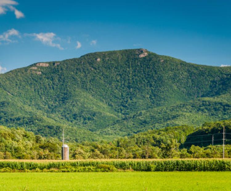 Shenandoah Valley Virginia corn field 