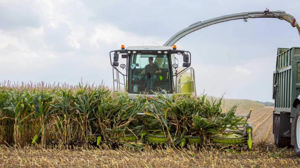 Tractor with pull behind harvester harvesting corn