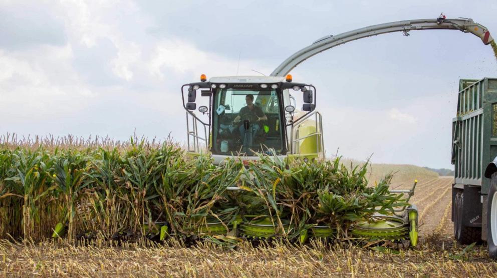 Tracteur avec moissonneuse tractée récoltant du maïs