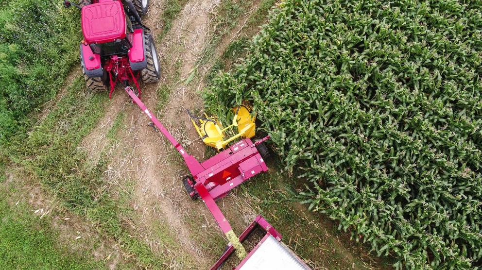 Aerial shot of Horning 3-row rotary corn head in action