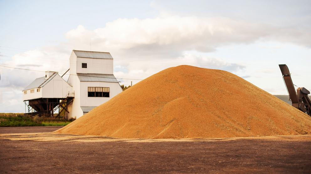 Pile of grain in from of feed mill